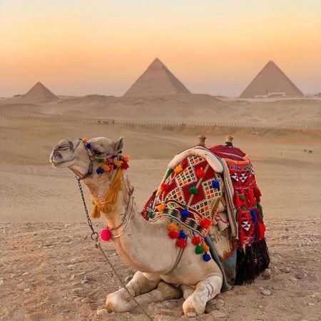 Best Tour to the Giza Pyramids and Egyptian Museum